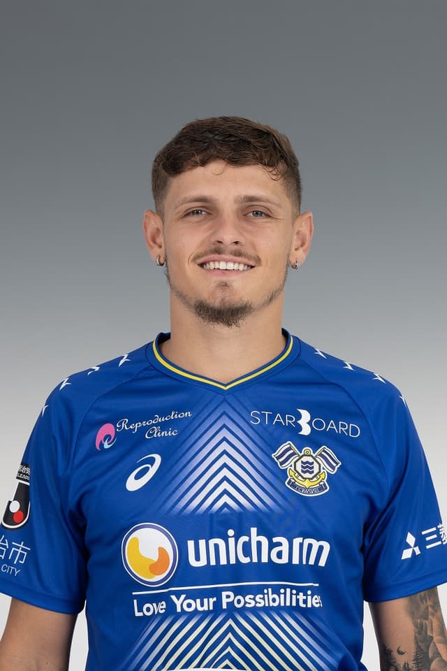 アンジェロッティの画像