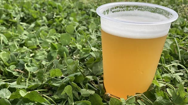 生ビール