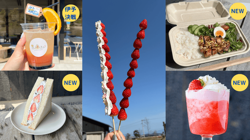 里山サロン出店情報(4月5日 愛媛戦)