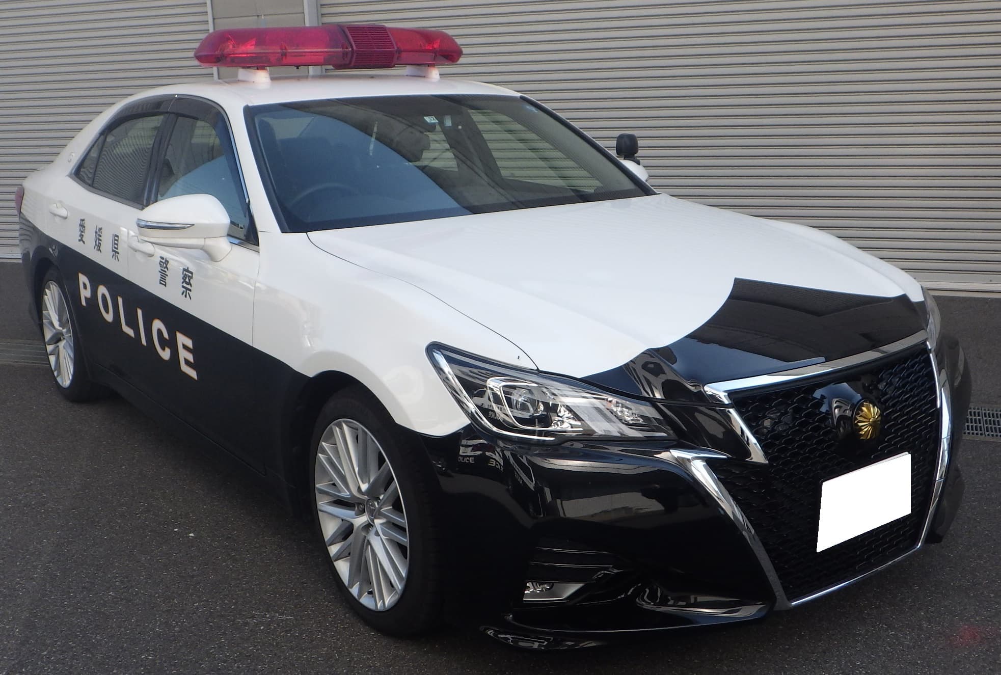 パトカー・白バイの展示