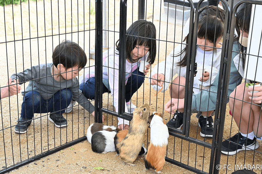 ふれあい動物園