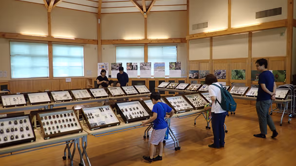移動昆虫展(昆虫標本・生体の展示など)
